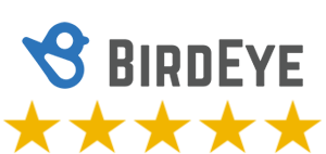 Birdeye TOP Rated Company