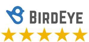 birdeye.png