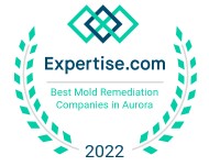 Top Mold Remediation Company in Aurora