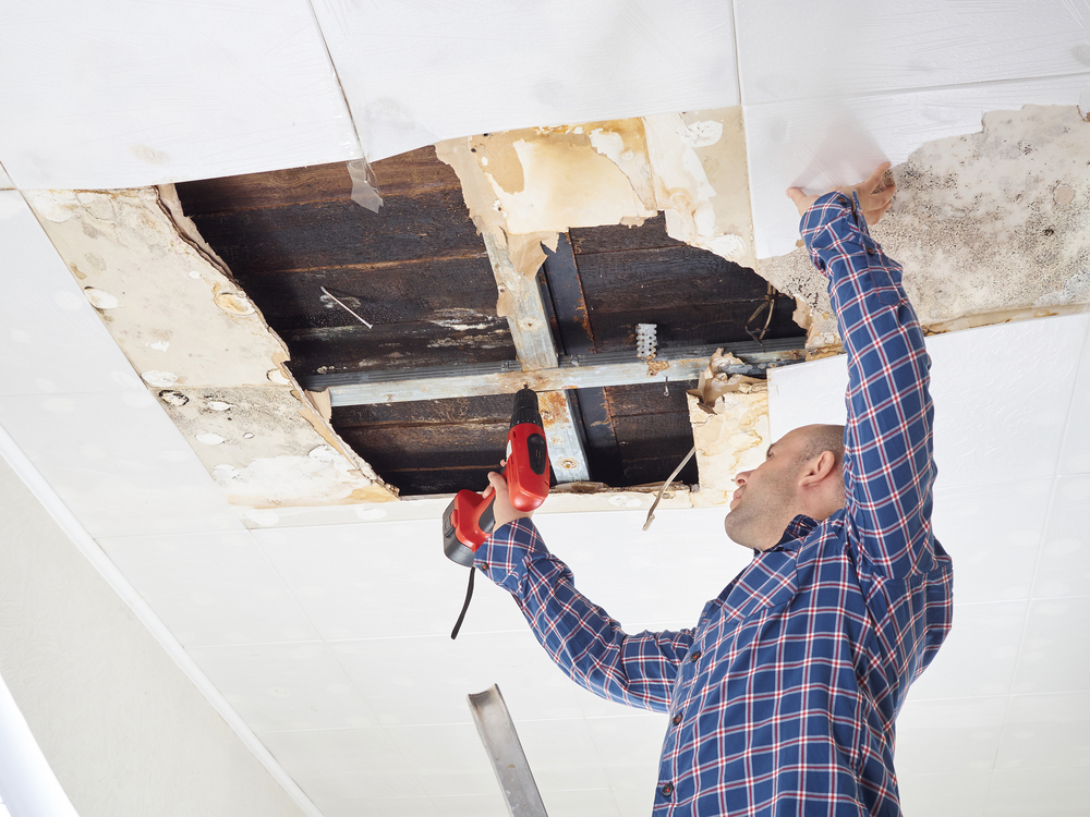 Most Common Summer Restoration Jobs in St. Denver, CO and Surrounding Areas